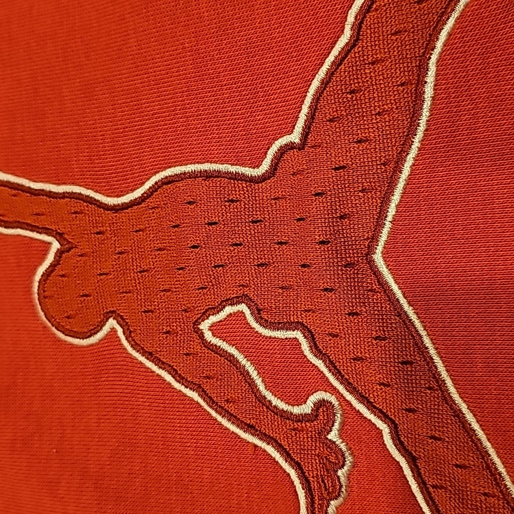 NWT Jordan Sweatshirt - Picture 10 of 10